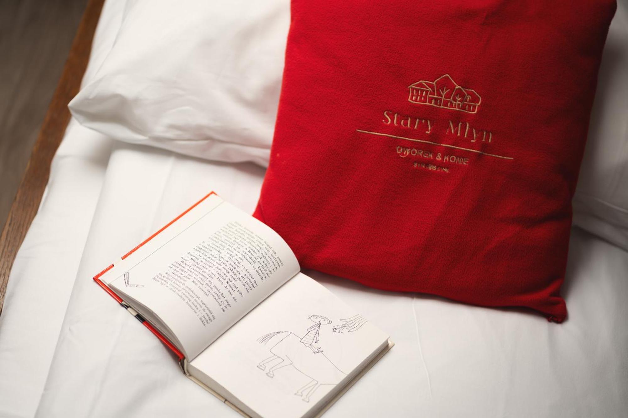 Stary Mlyn Strzeszyn Hotel Lubowo  ภายนอก รูปภาพ